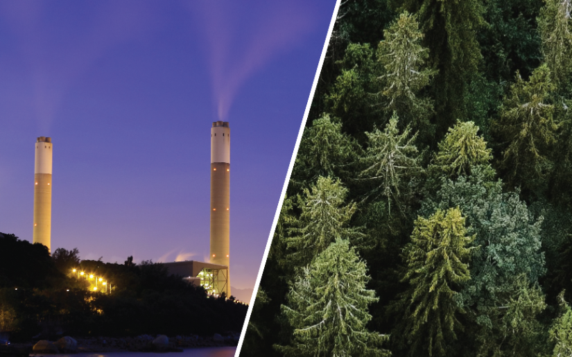 Carbon Capture Technologies and Natural Climate Solutions: 1+1 = 3